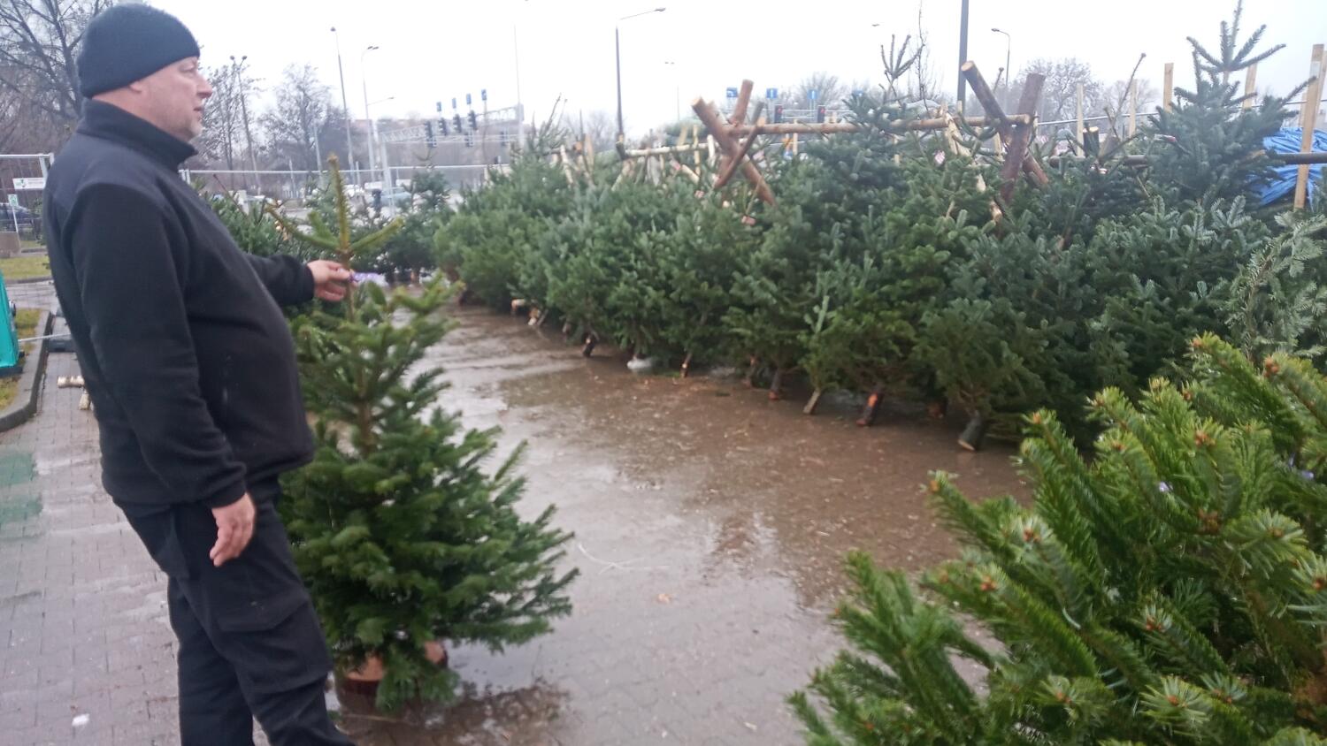 Rafał Czubak, sprzedawca bożonarodzeniowych choinek